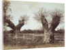 Hedgerow Trees by Benjamin Brecknell Turner
