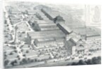 The Liverpool Exhibitio by Anonymous