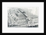 The Liverpool Exhibitio by Anonymous