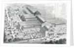 The Liverpool Exhibitio by Anonymous