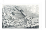 The Liverpool Exhibitio by Anonymous