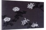 Chrysanthemums paper by Unknown