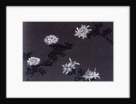 Chrysanthemums paper by Unknown