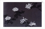 Chrysanthemums paper by Unknown