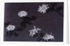 Chrysanthemums paper by Unknown