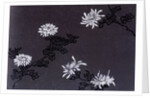 Chrysanthemums paper by Unknown
