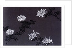Chrysanthemums paper by Unknown