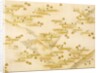 Cherry blossoms and squares paper by Unknown