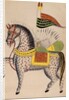 The Mule Dul Dul by Anonymous