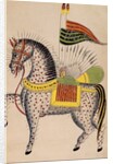 The Mule Dul Dul by Anonymous