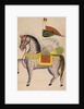 The Mule Dul Dul by Anonymous