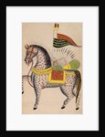 The Mule Dul Dul by Anonymous