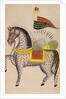The Mule Dul Dul by Anonymous