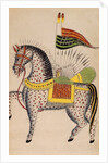 The Mule Dul Dul by Anonymous