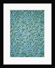 Willow Bough wallpaper by William Morris