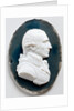 Robert Adam by James Tassie