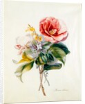 Camellia Bouquet from Flower Pieces by Unknown