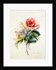 Camellia Bouquet from Flower Pieces by Unknown