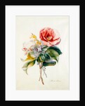 Camellia Bouquet from Flower Pieces by Unknown