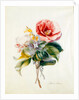 Camellia Bouquet from Flower Pieces by Unknown