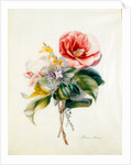 Camellia Bouquet from Flower Pieces by Unknown