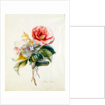 Camellia Bouquet from Flower Pieces by Unknown