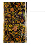 Wallpaper by Unknown