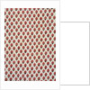 Textile by Unknown