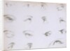 Eyes. London, England, 1805 by Anonymous