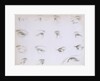 Eyes. London, England, 1805 by Anonymous