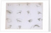 Eyes. London, England, 1805 by Anonymous