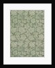 Bramble wallpaper by Kate Faulkner