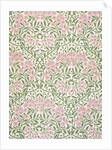 Michaelmas Daisy wallpaper by John Henry Dearle