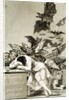 The Sleep of Reason Produces Monsters by Unknown