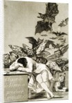 The Sleep of Reason Produces Monsters by Unknown