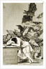 The Sleep of Reason Produces Monsters by Unknown