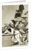 The Sleep of Reason Produces Monsters by Unknown