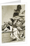 The Sleep of Reason Produces Monsters by Unknown