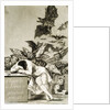 The Sleep of Reason Produces Monsters by Unknown