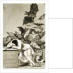 The Sleep of Reason Produces Monsters by Unknown
