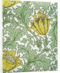 Anemone wallpaper by William Morris