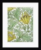 Anemone wallpaper by William Morris