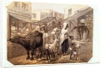 Our Bazaar by George Franklin Atkinson