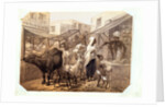 Our Bazaar by George Franklin Atkinson