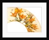 Floral fan design, detail by Charlotte Home Spiers