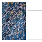 Kimono, detail. Japan, late 19th century by Unknown