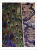 Surcoat, detail. Japan, 18th century by Unknown