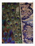 Surcoat, detail. Japan, 18th century by Unknown