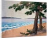 Hanging, Pine Trees on the Seashore. Japan, 19th century by Unknown