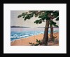 Hanging, Pine Trees on the Seashore. Japan, 19th century by Unknown